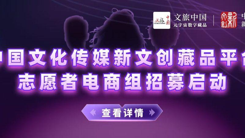 文化传媒公司创业计划书范文模板